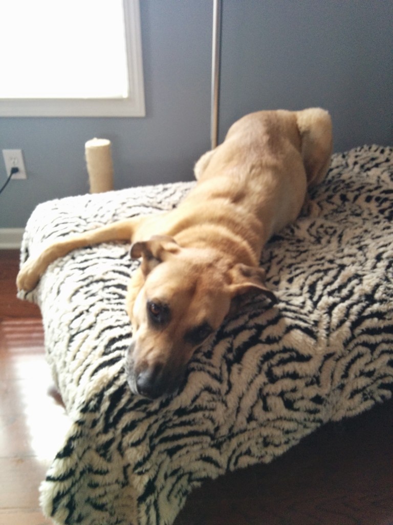 Being a film star is hard work