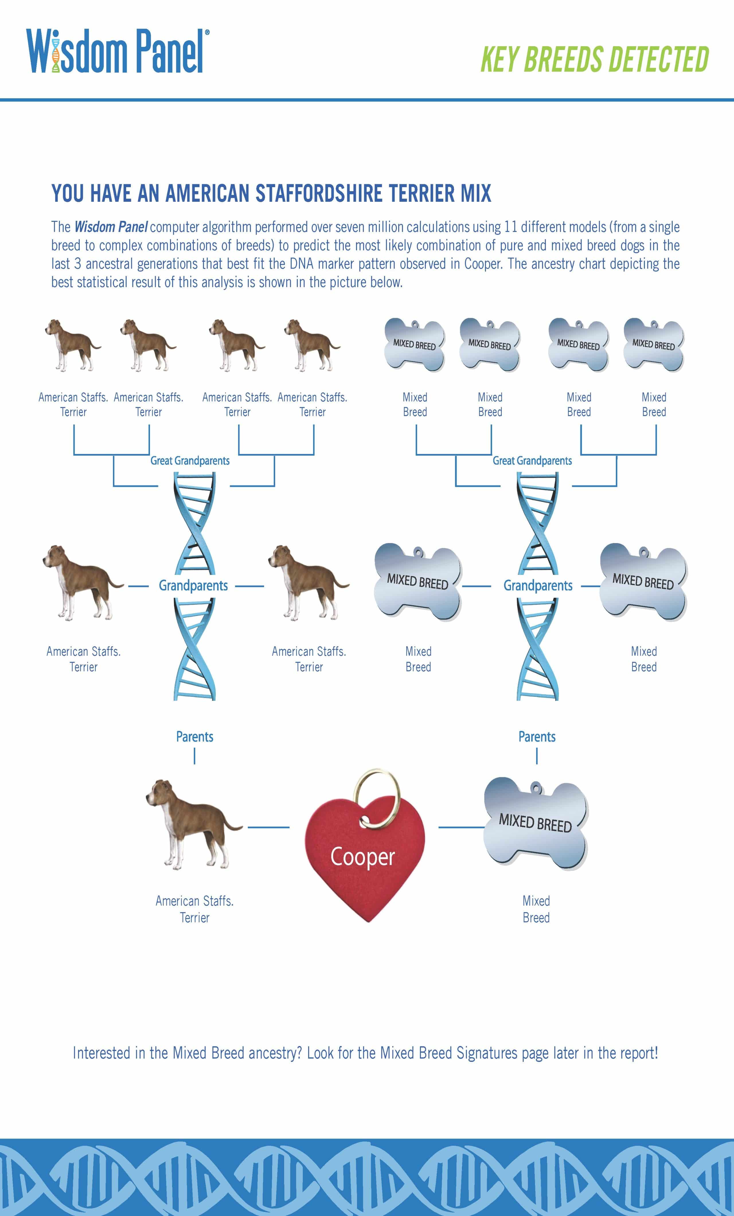 Cooper's Wisdom Panel 3.0 results