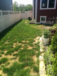 The after garden