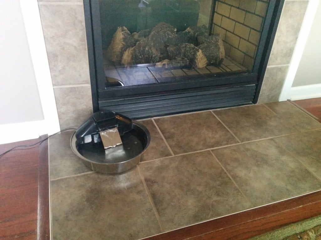 PetSafe fountain downstairs