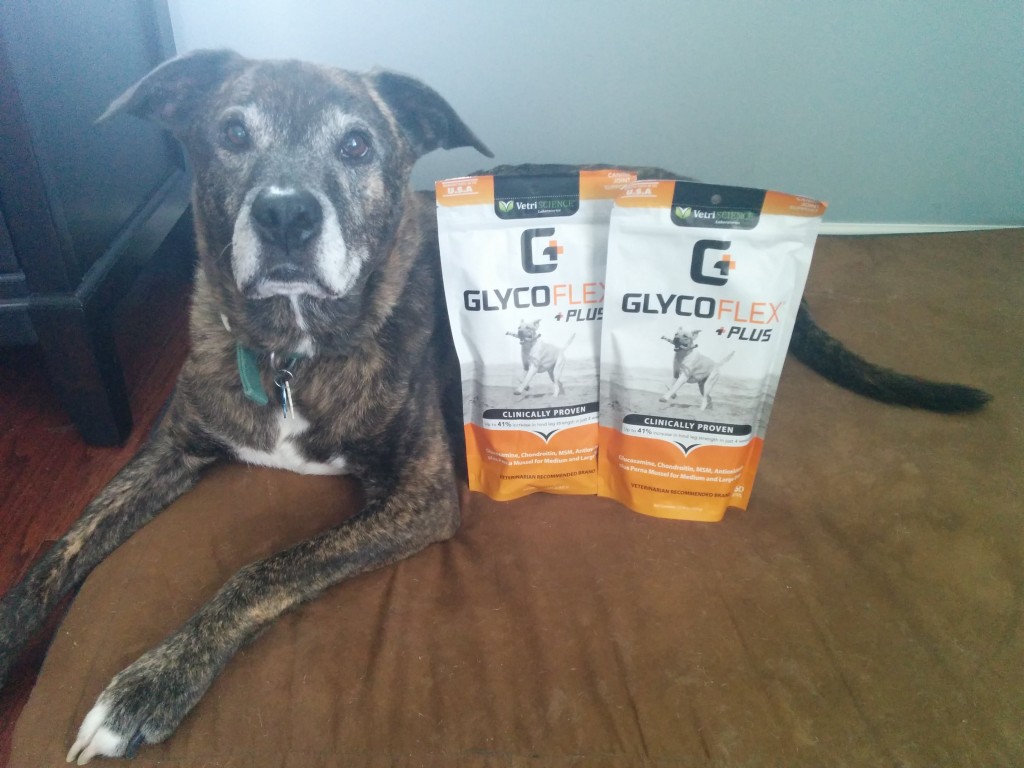 Emmett and Glyco Flex: Product review and giveaway