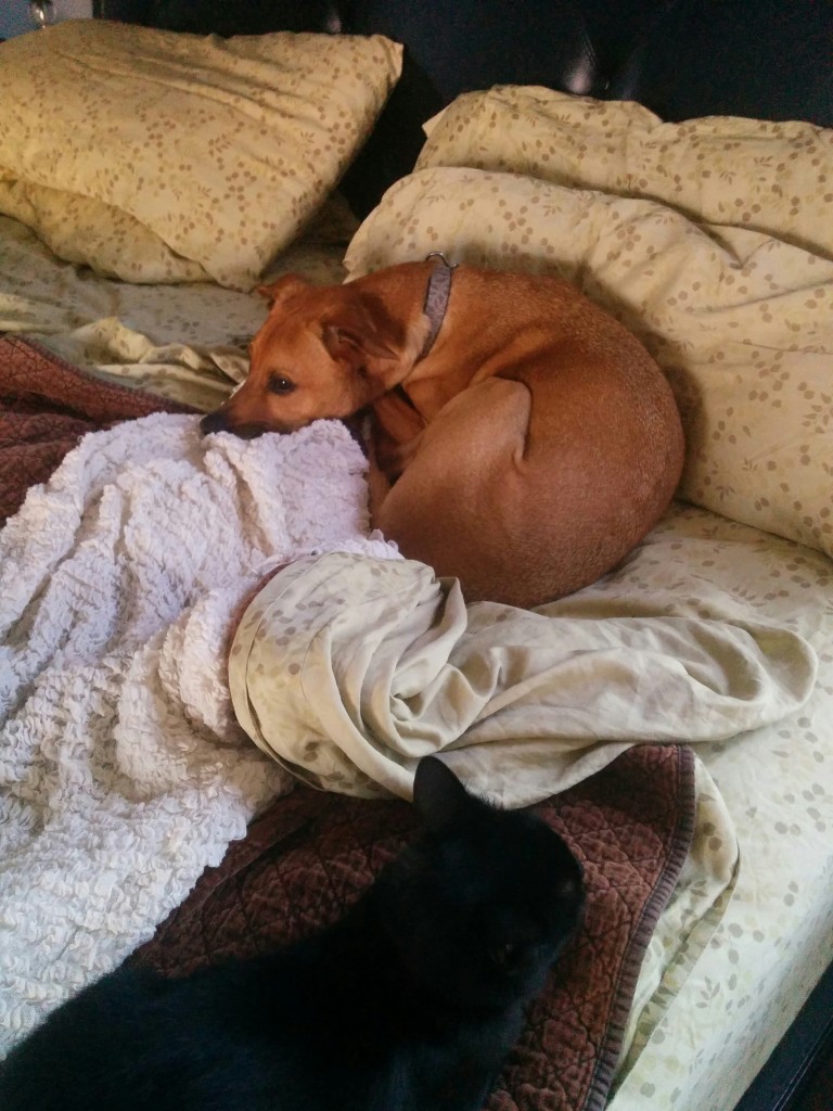 Cooper and Newt