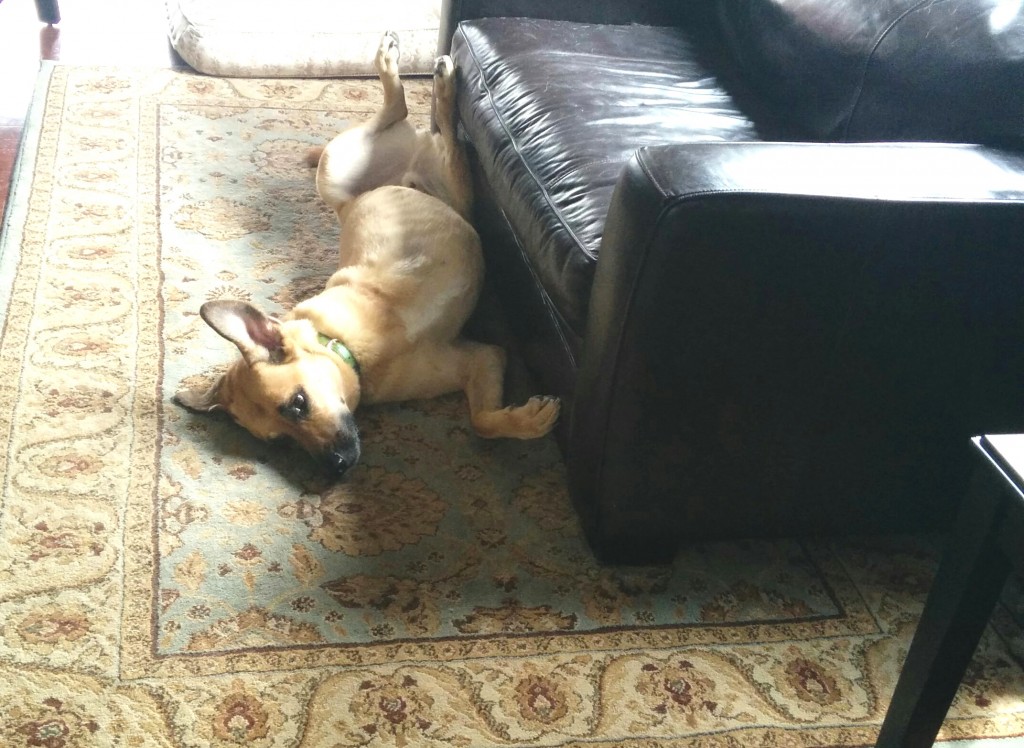 Lucas is a goofball 08.10.15