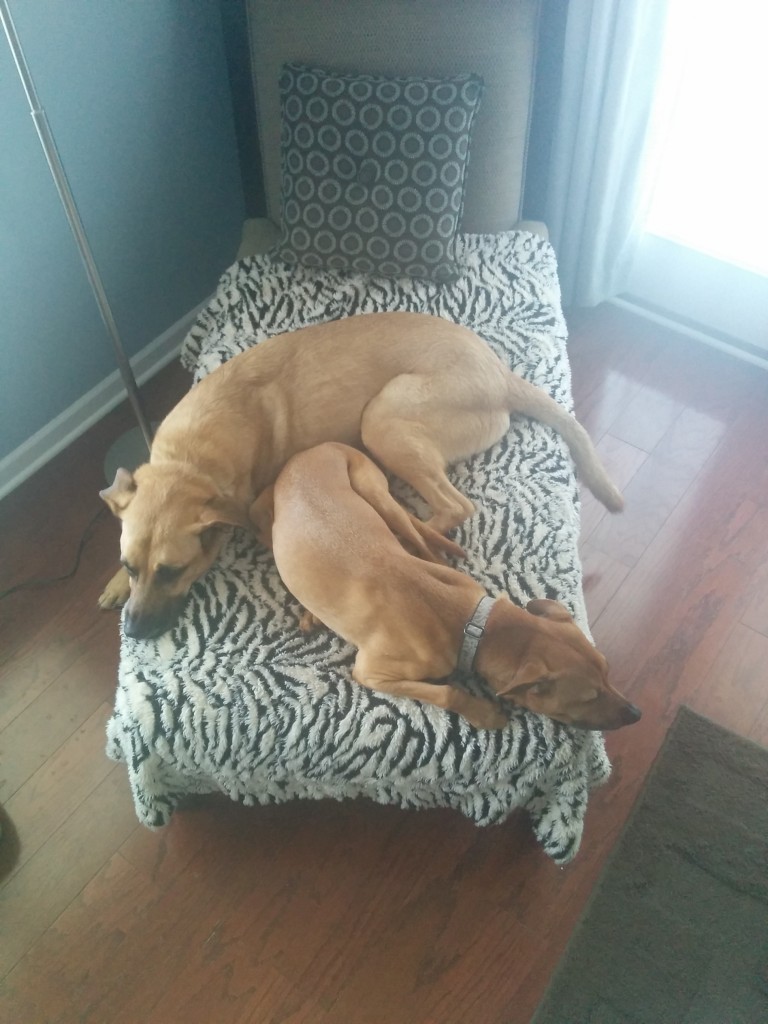 Little spoon