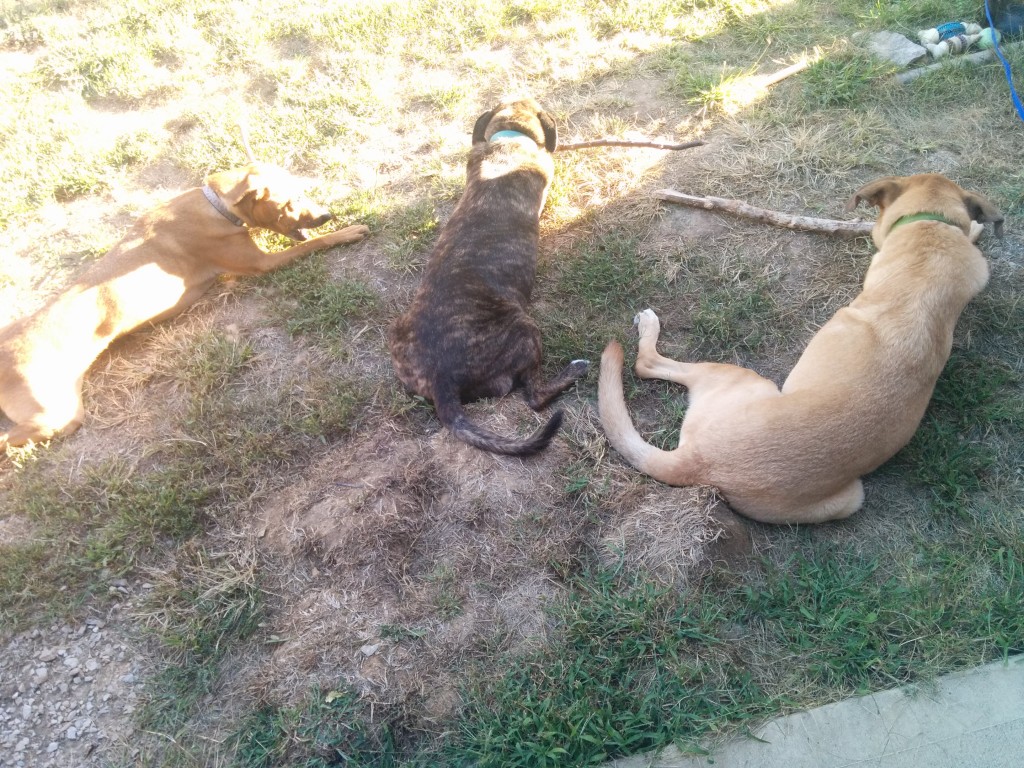 Stick time September 2015