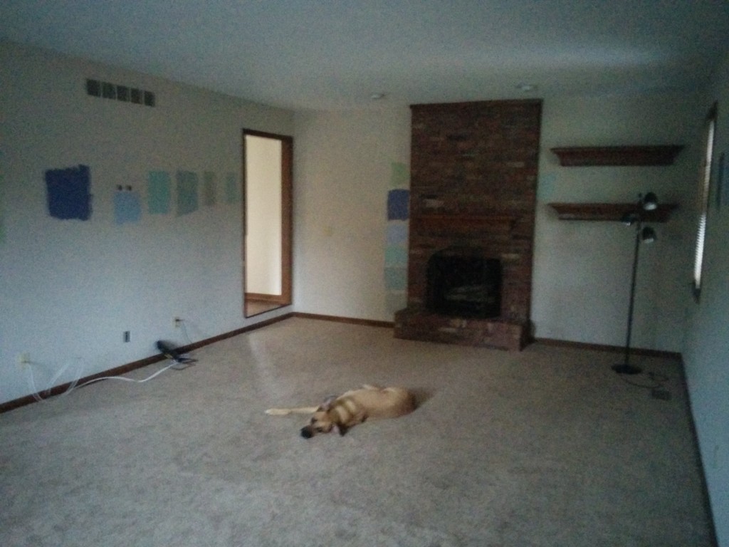 Lukey contemplates paint