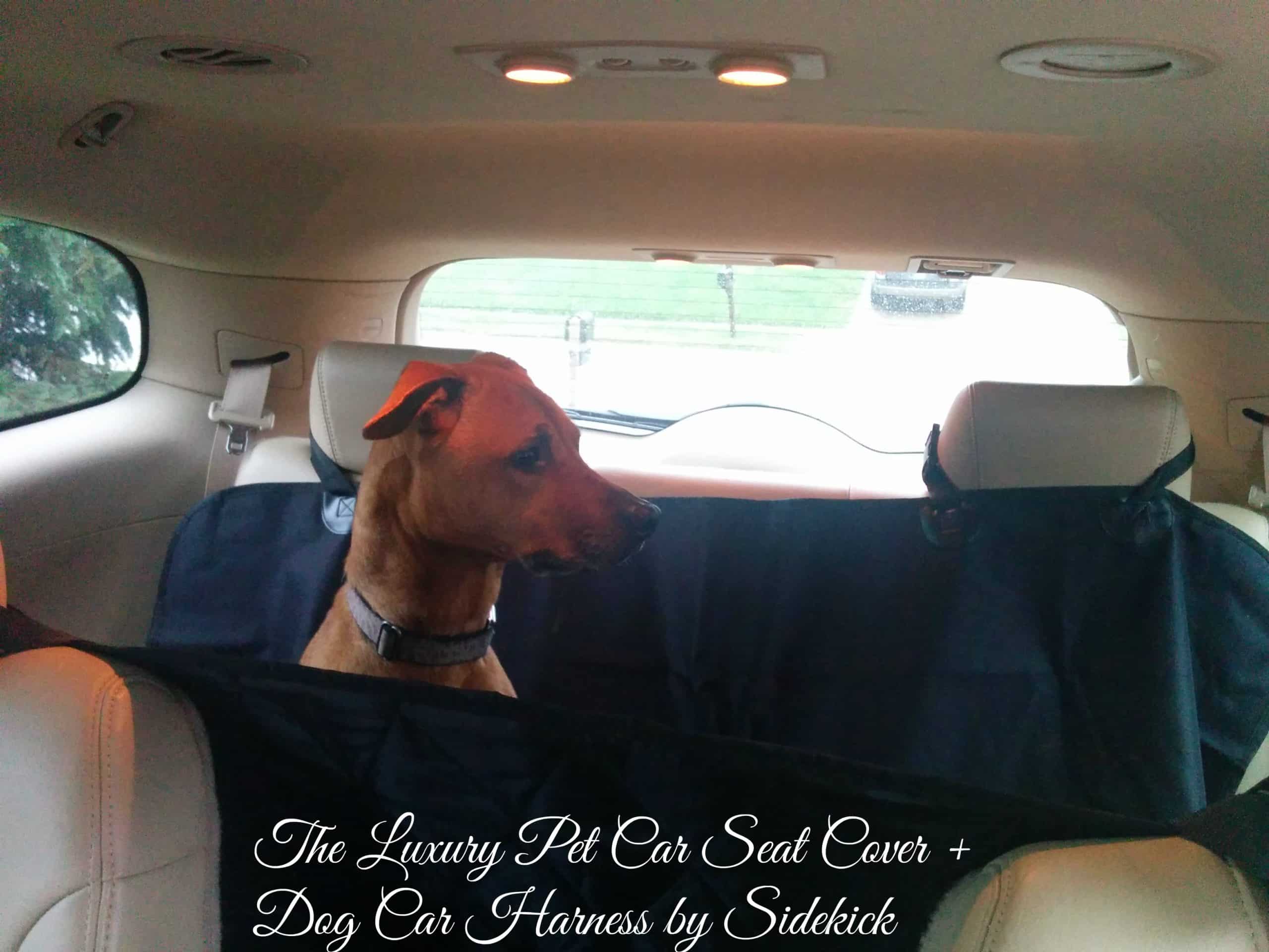 Car Seat Cover by Sidekick