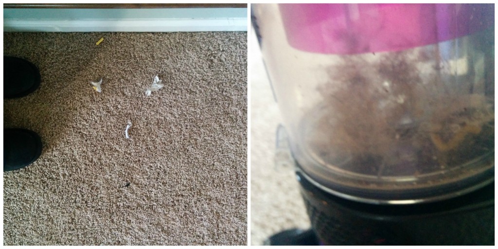 The Panasonic Vacuum test