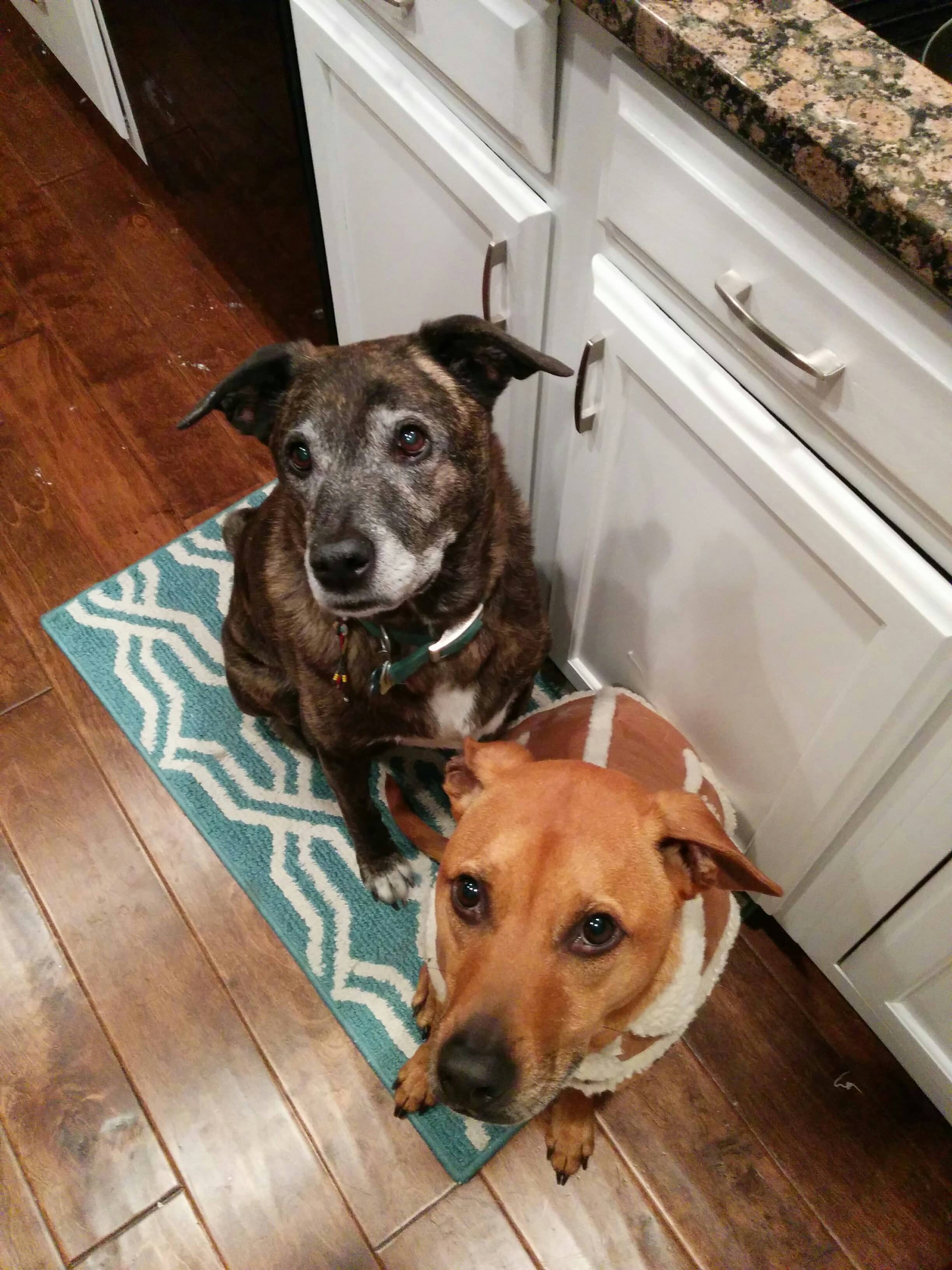 Emmett and Cooper miss their brother