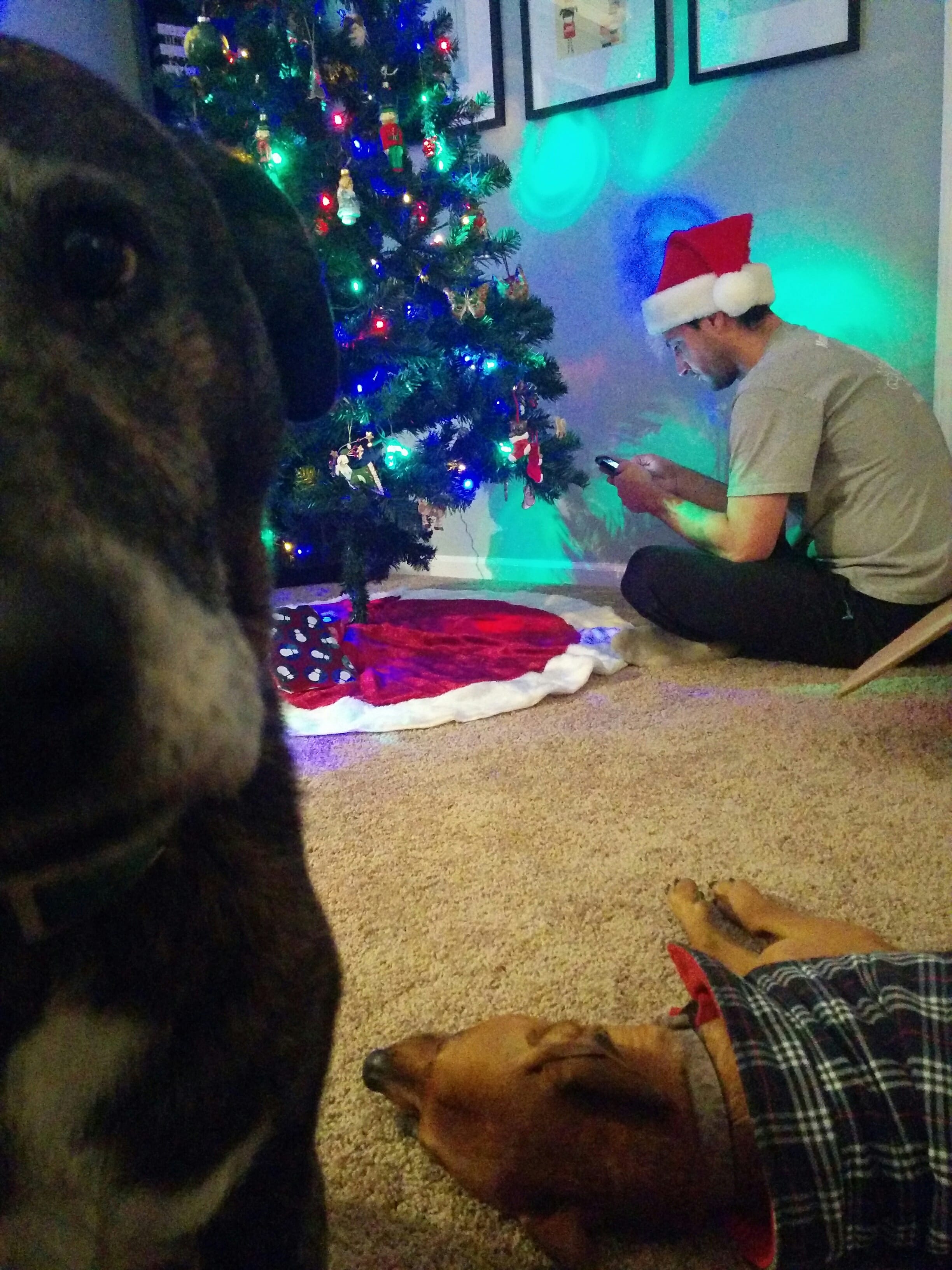 Christmas 2015