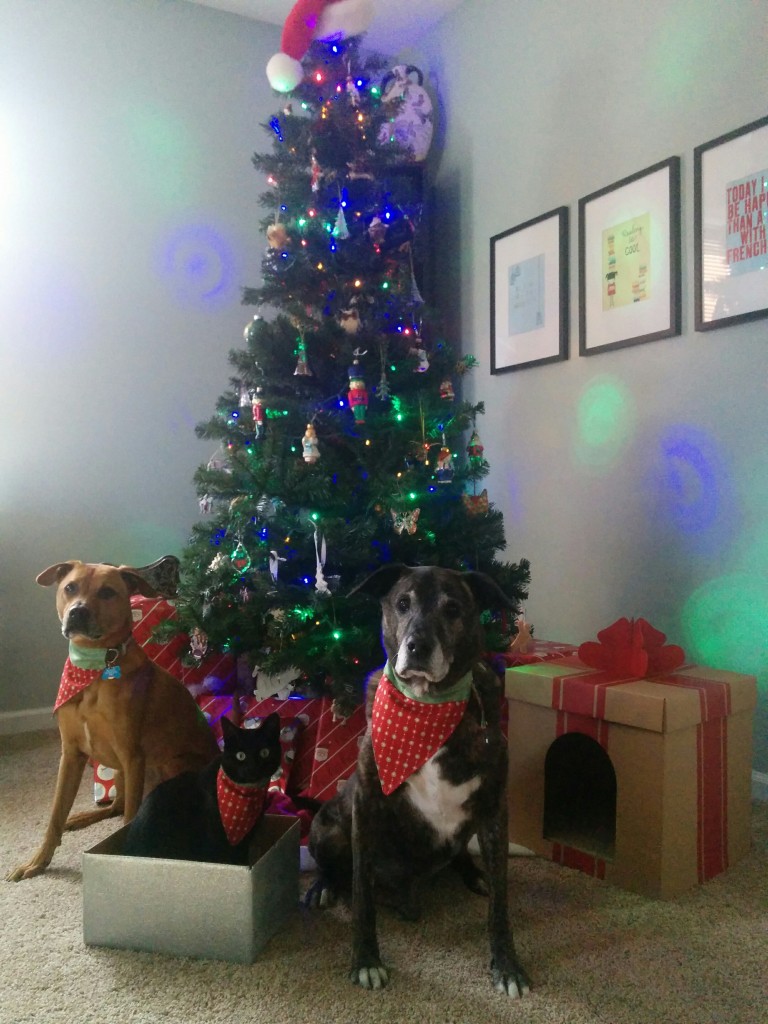 Merry Christmas 2016