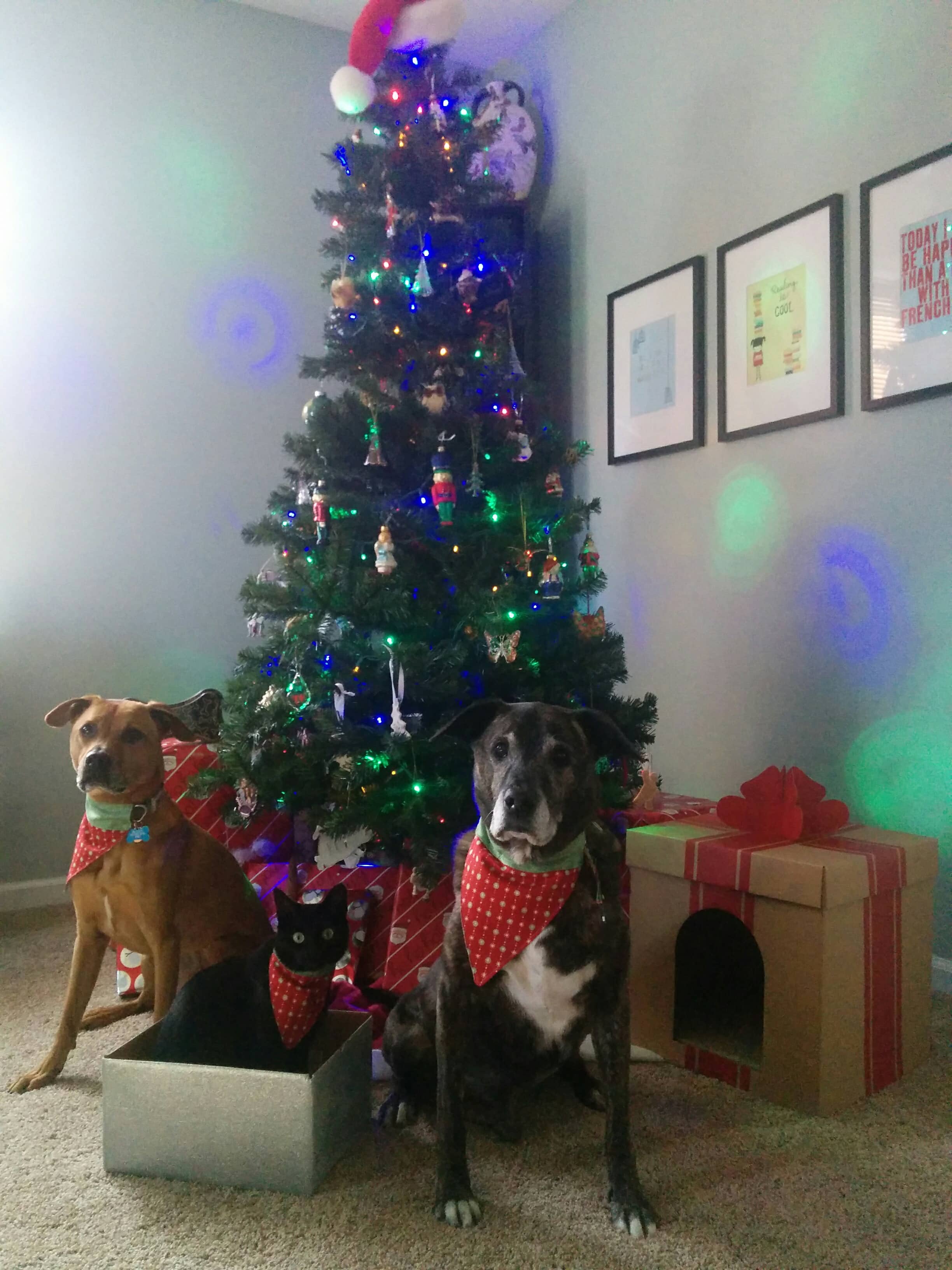 Merry Christmas 2016