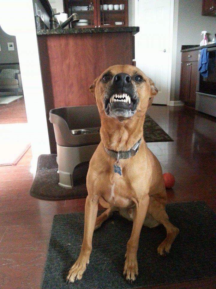 Cooper smiles