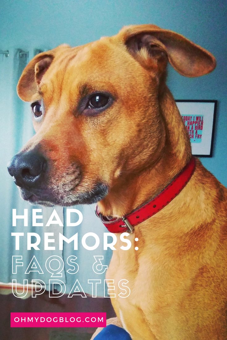 Idiopathic Head Tremors_ FAQs and Updates