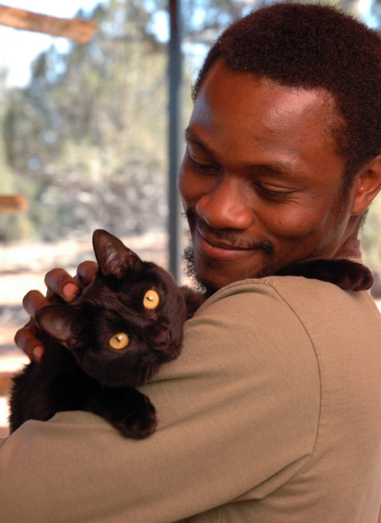 #RelationshipGoals: Adopt this sweet kitty