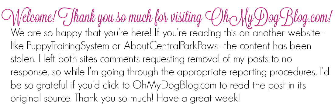 Thanks for reading OhMyDogBlog.com