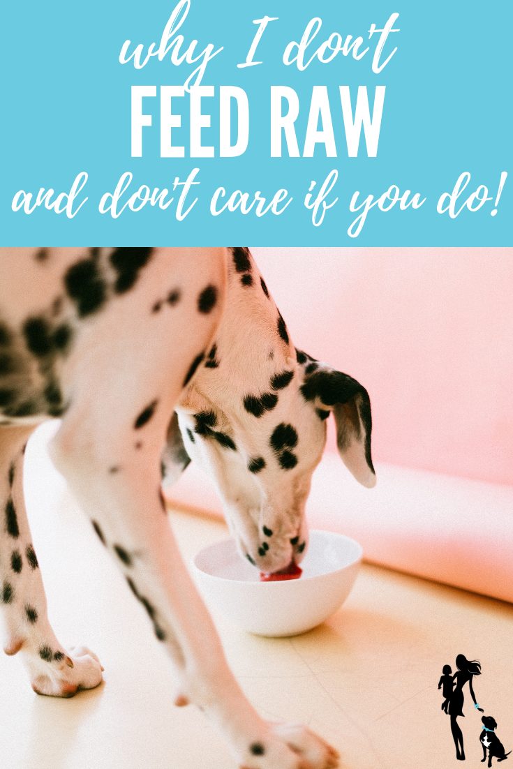 Why I don't feed my dogs raw... but couldn't care less if you do!