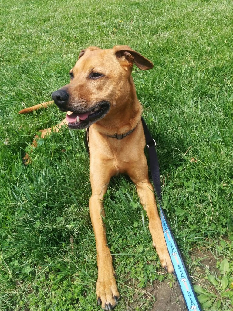 Post-run bliss
