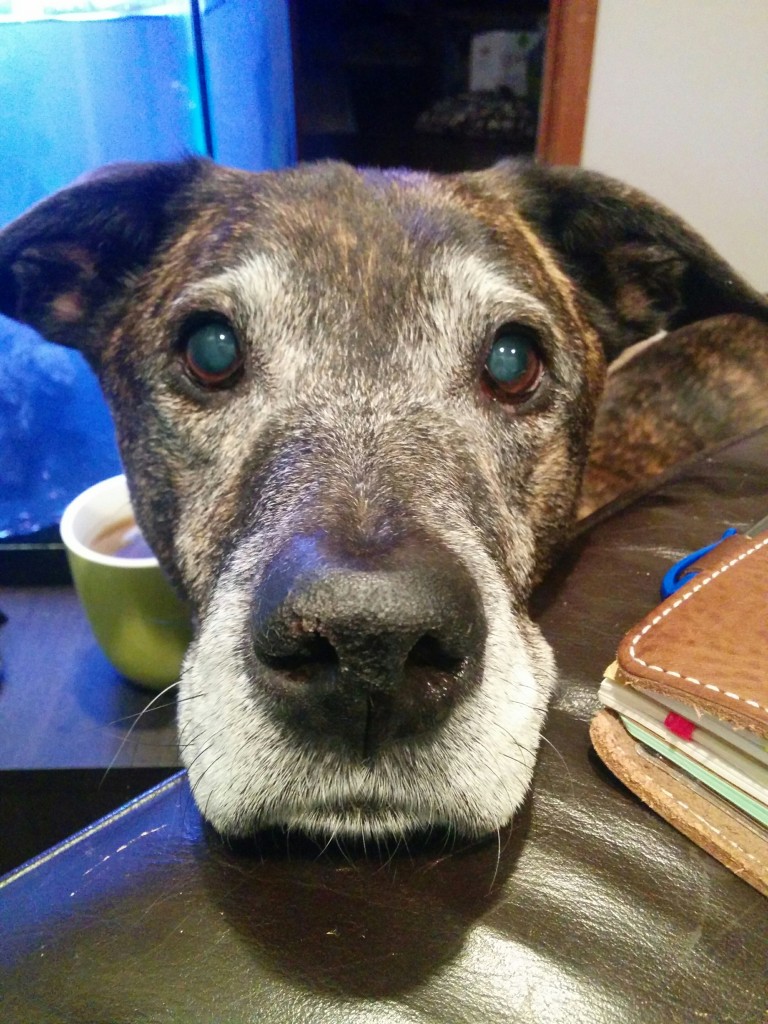 Emmett's diminished hearing