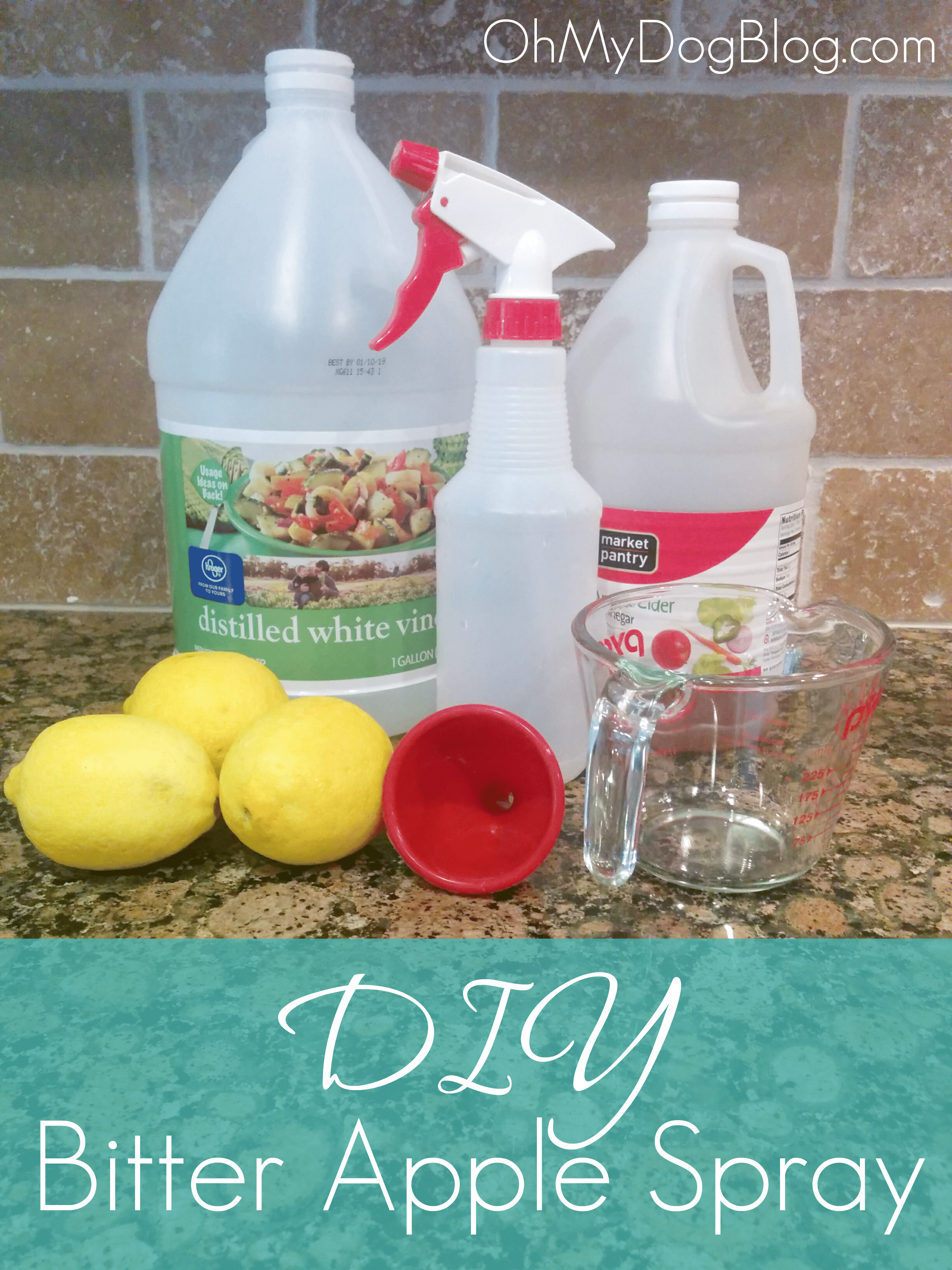 DIY bitter apple spray: A safe, healthy, inexpensive alternative to store-bought spray deterrents