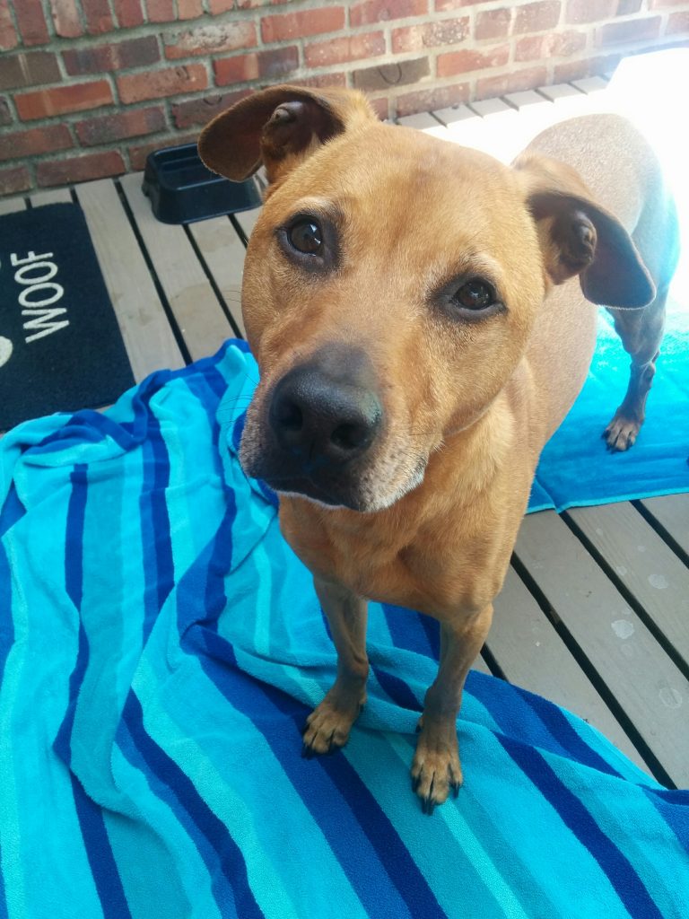 I'm a pretty cute Cooper