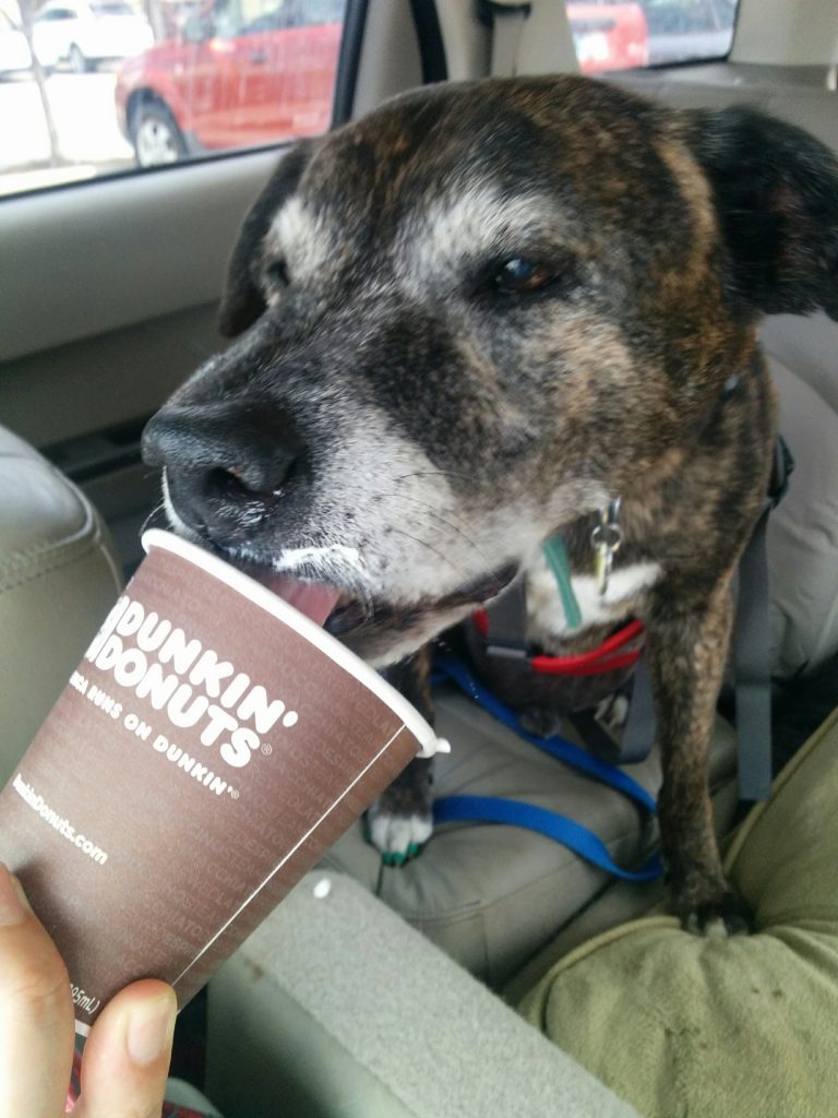 Emmett loves Dunkin' Donuts