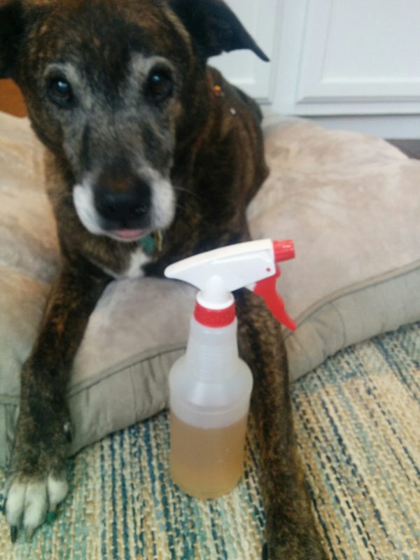 What is DIY bitter apple spray?