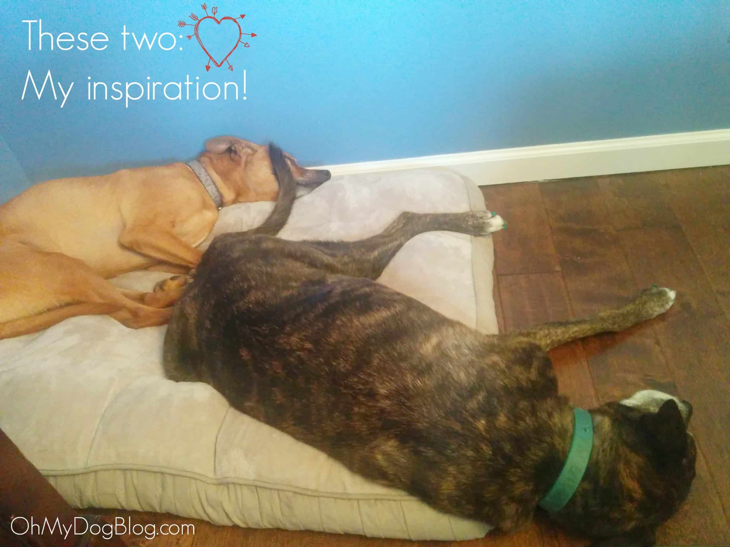 These two: my inspiration for blogging