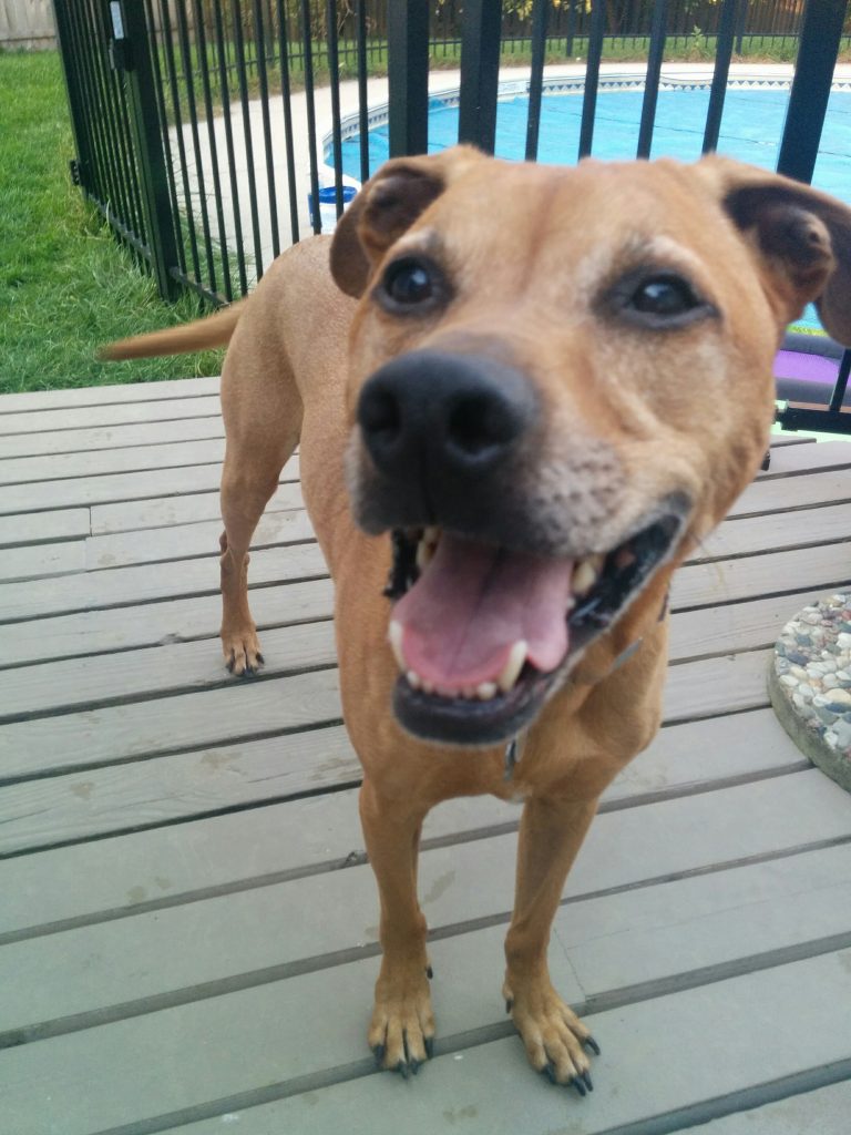 Cooper is so happy!