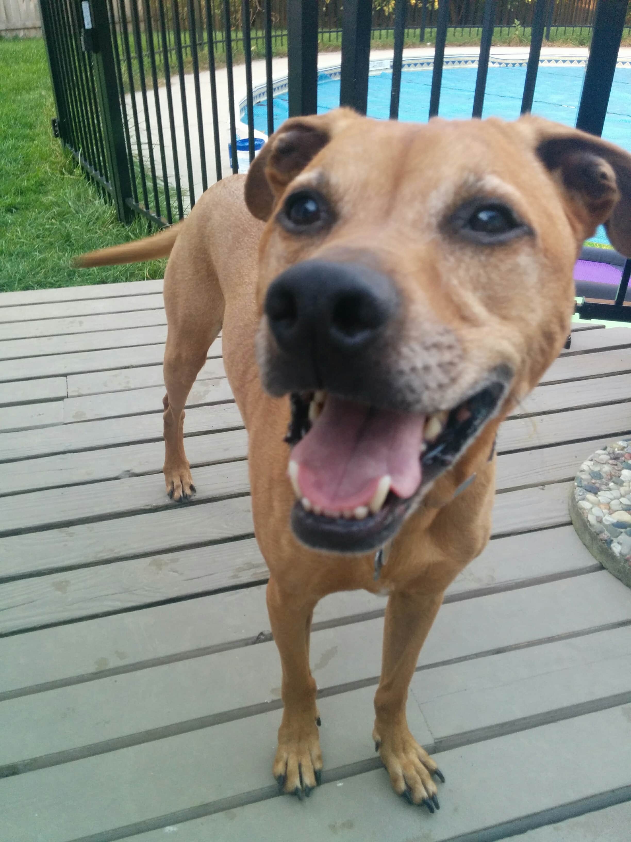 Cooper is so happy!