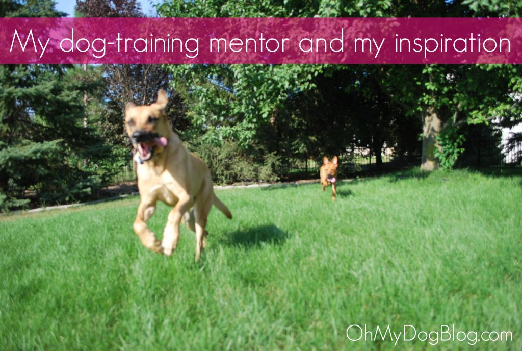 My dog training mentor | OhMyDogBlog.com