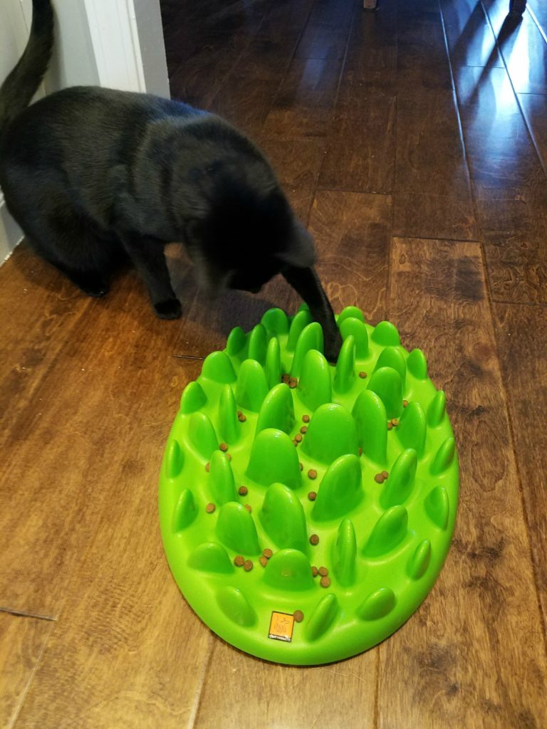 Newtie and her puzzle