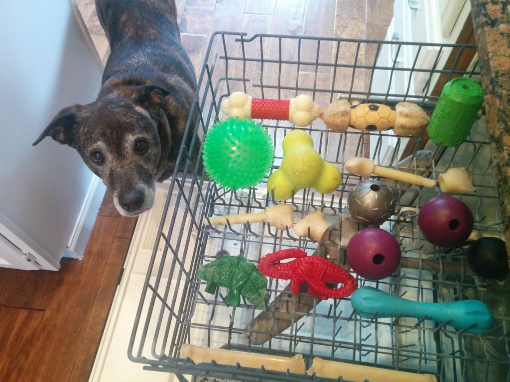 Sanitizing dog toys
