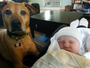 Cooper loves Violet