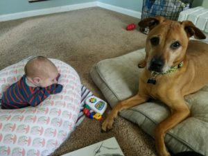 Tummy time