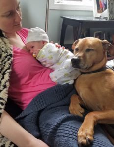 Cooper dozes on the baby