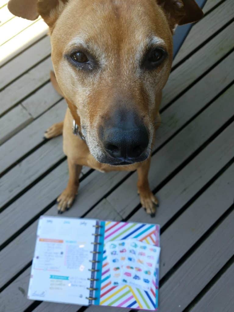 Cooper and my planner