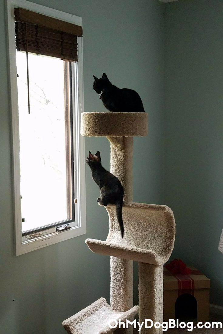 BFFs, The Ripley and Newt edition
