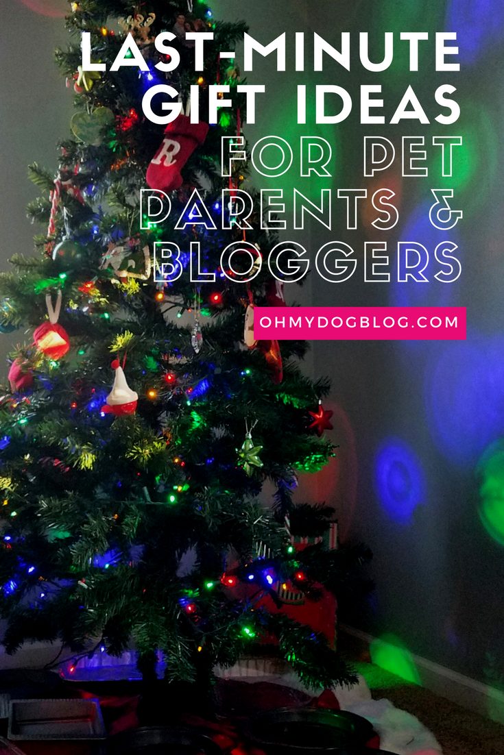 Last-Minute Gifts for Pet Parents AND Gift Ideas for Pet Bloggers