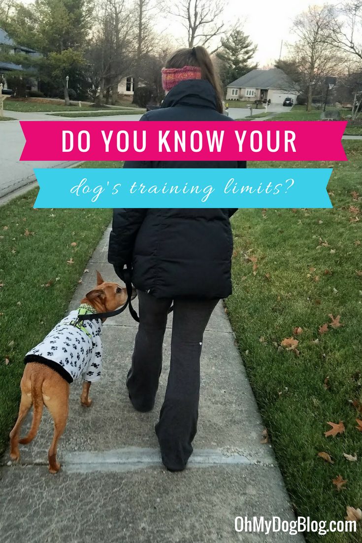 Do you know your dog's training limits_