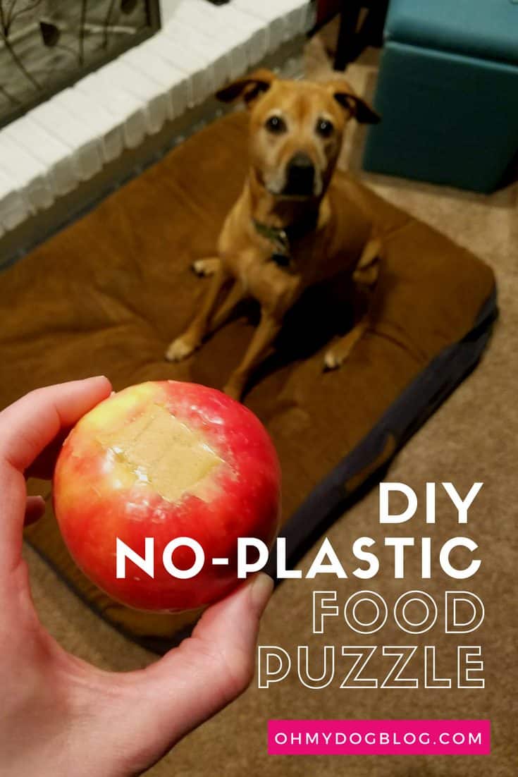 In the foreground, a hand holds an apple that has been cored and stuffed with peanut butter. Slightly blurry in the background, a red pit mix with a graying face sits on a brown dog bed waiting for the treat. The text overlay reads: DIY Plastic-Free Food Puzzle for Dogs