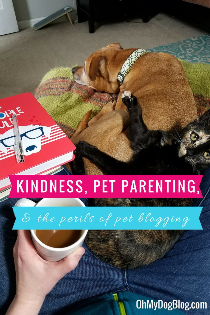 Kindness, Pet Parenting, and the Perils of Pet Blogging