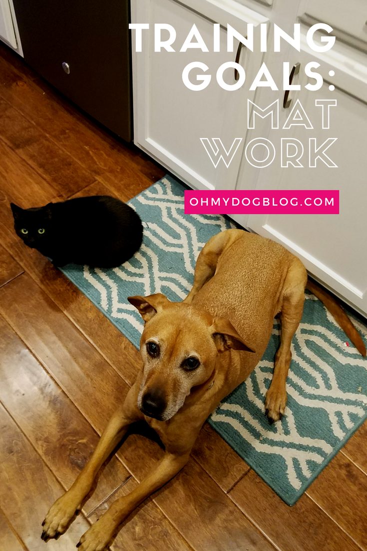 Setting Realistic Dog Training Goals_ Mat Work