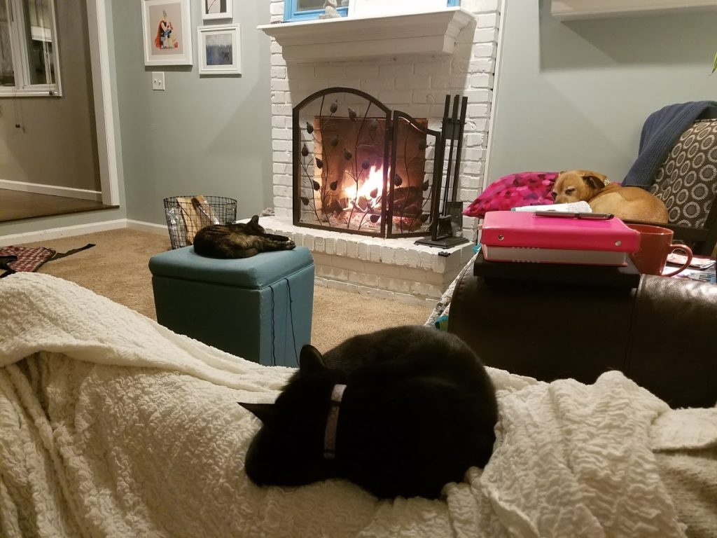 The fireplace