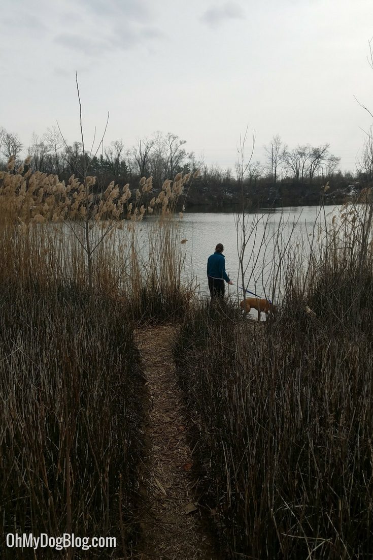 Hiking to a duck pond with Cooper _ April 2018