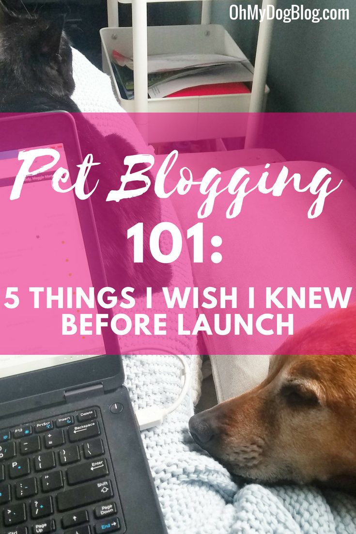 Pet Blogging 101_ Or, what I wish I knew before I started!