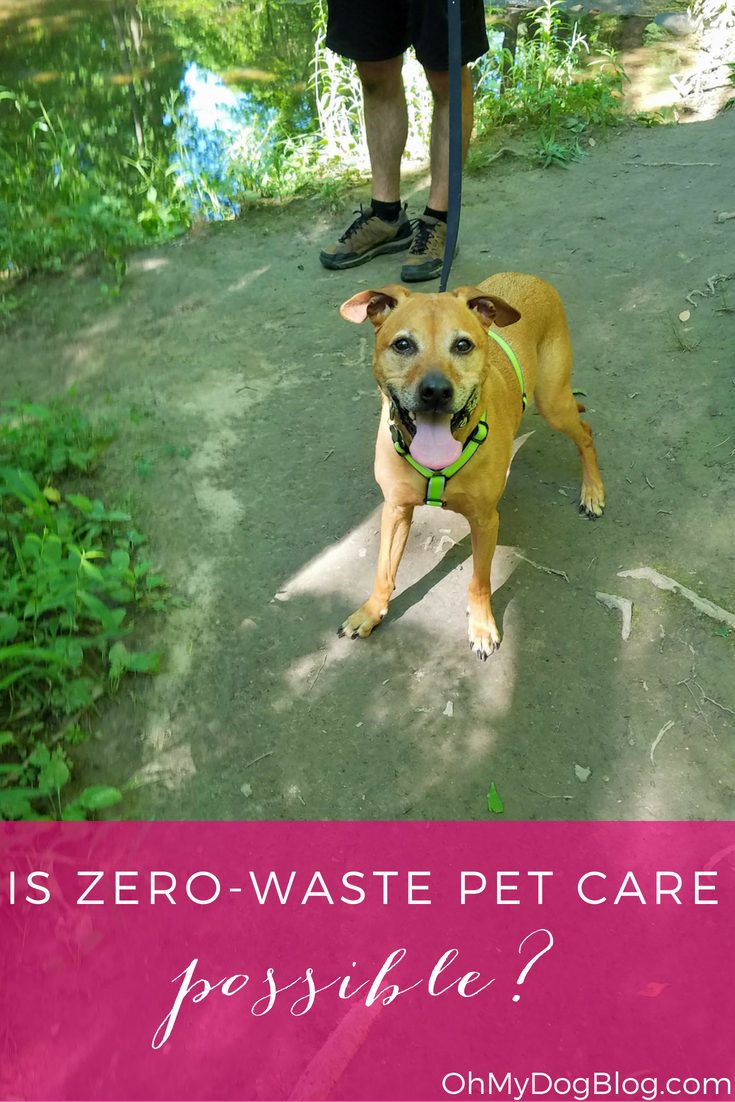 Zero-waste pet care is impossible... but that doesn't mean you shouldn't try!