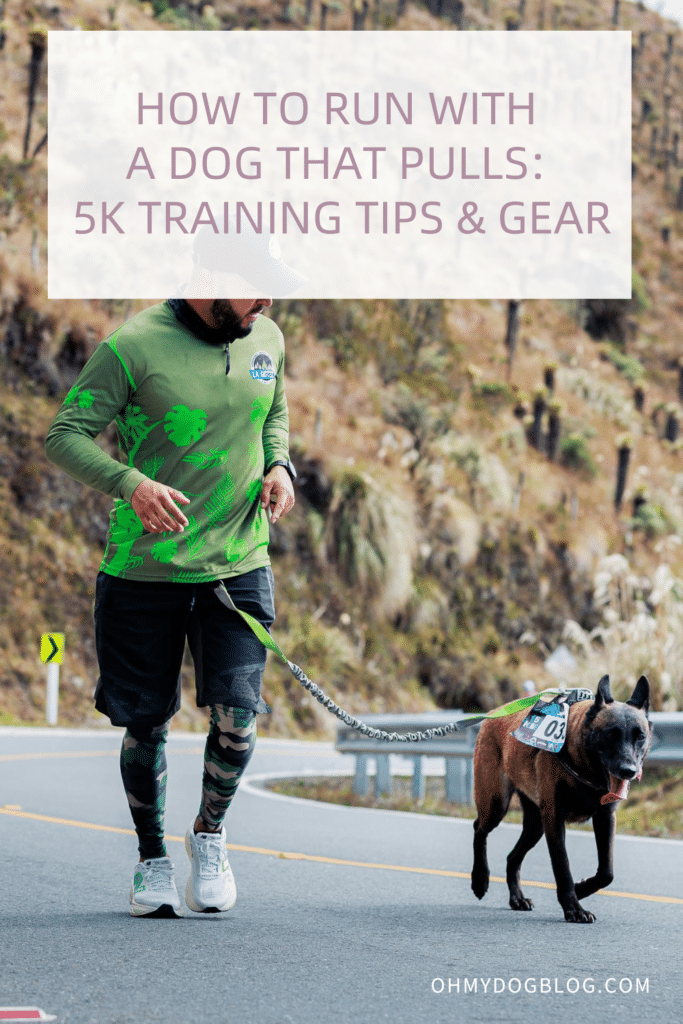 A white man with a green running shirt, shorts, and leggings runs alongside a working dog. They are connected by a waist leash, and the dog has a running bib pinned to his collar. The text overlay reads: How to run with a dog that pulls: 5k training tips & gear