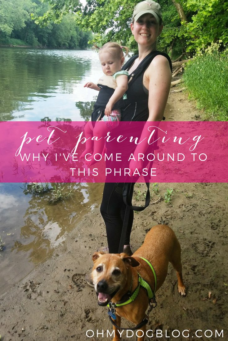 Why I've come around to the phrase pet parenting