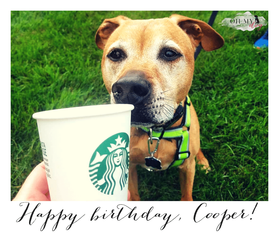 Happy birthday, Cooper!